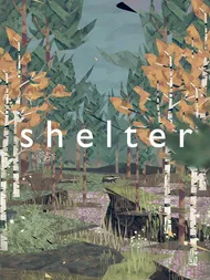 Cover image for Shelter