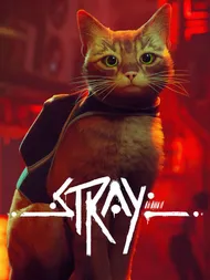 Cover image for Stray